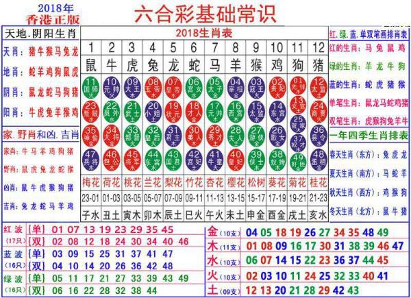 澳门正版资料大全资料生肖卡,澳门正版资料大全资料生肖卡的探索与解析