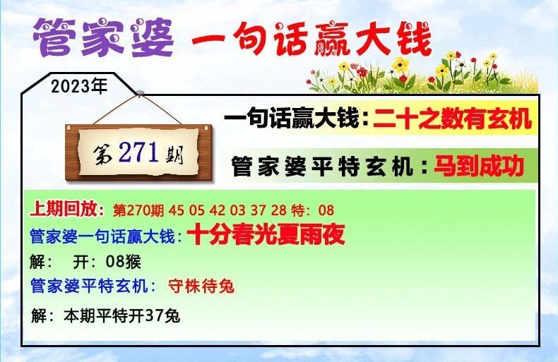 澳门一肖一码100管家婆9995,澳门一肖一码与管家婆9995，揭秘与探索