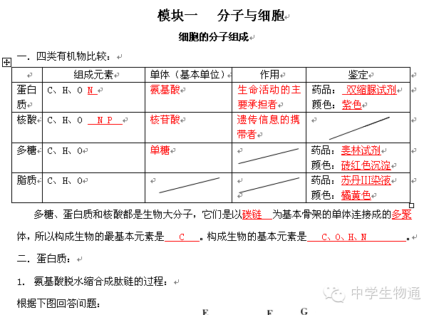 2025年2月4日