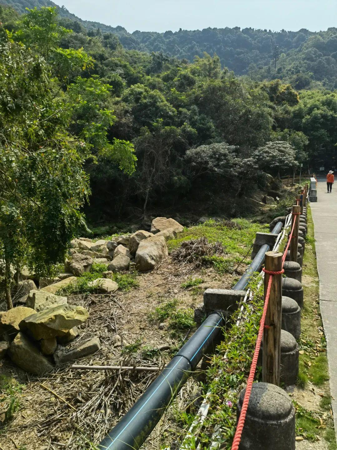 澳门雷锋心水论坛013期 02-03-05-08-09-39P：06,澳门雷锋心水论坛第013期，探索心水奥秘，传承雷锋精神——以数字解码生活之美