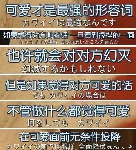 新奥门资料大全正版资料2025099期 12-17-24-39-40-46Y：01,新奥门资料大全正版资料解析，2025年第099期的数字秘密与策略解读