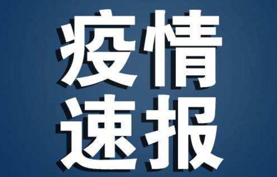 最准一尚一码100中特117期 01-04-05-43-44-49N：43,最准一尚一码，探寻彩票背后的秘密故事——第117期中特揭秘